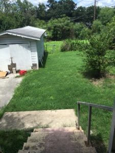 Large Back Yard